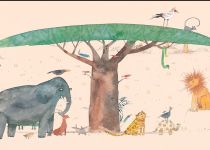 au fil de l eau photo1 stp grenouille