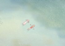 au fil de l eau photo10 jules et juliette