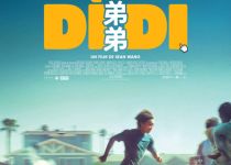 affiche didi